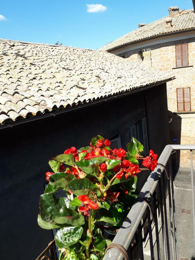 Orvieto House Daire Dış mekan fotoğraf